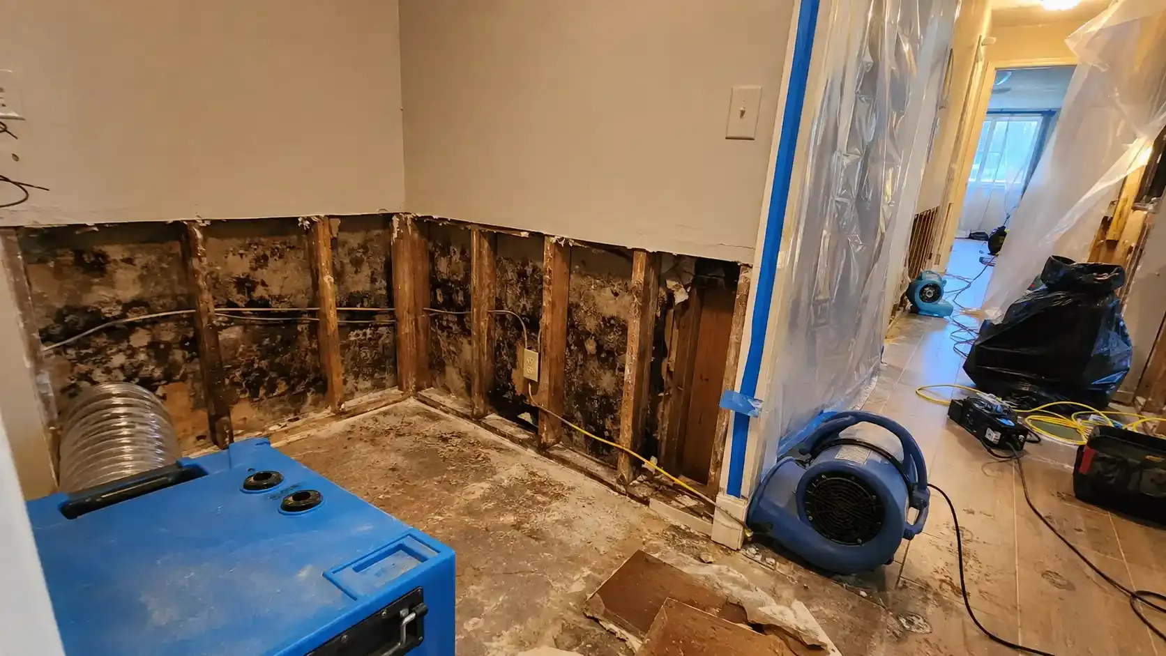 Image water damage restoration 5 water restoration axis